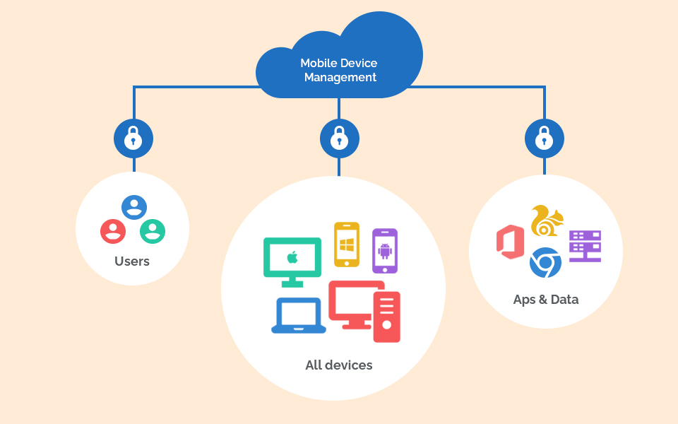 User and Device Management